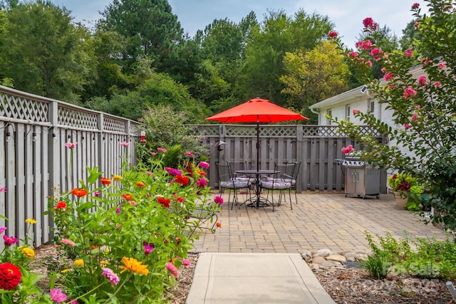 796 Cornelius Rd, Mooresville, NC 28117 - photo 13