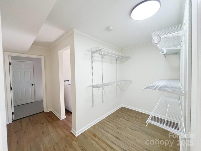 spacious closet featuring wood-type flooring