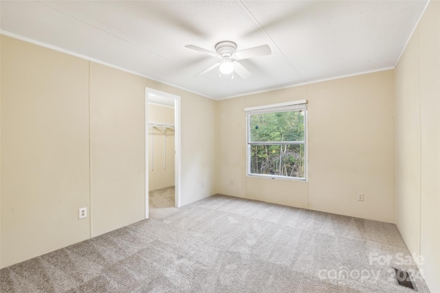 carpeted empty room featuring ornamental molding and ceiling fan