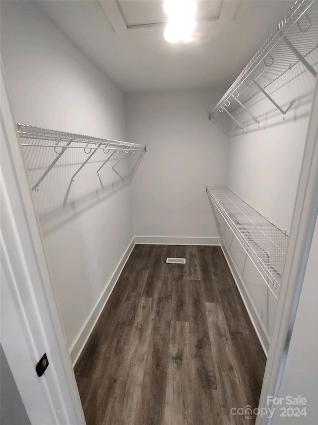 spacious closet with dark hardwood / wood-style flooring