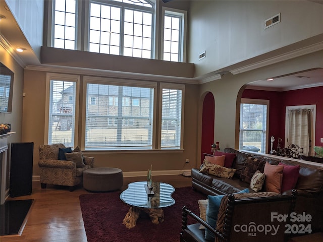 living room featuring a wealth of natural light and a towering ceiling