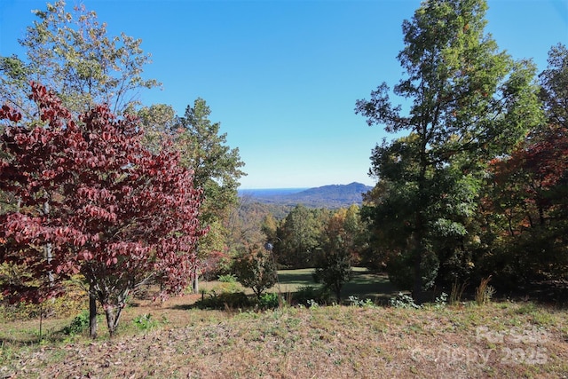 view of mountain feature