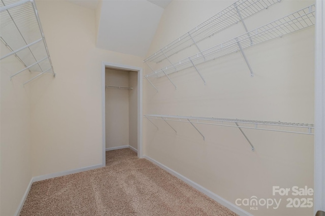 spacious closet with carpet floors