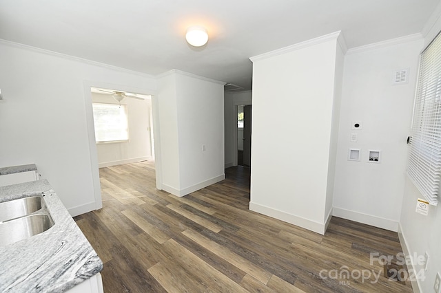 kitchen featuring crown molding, dark hardwood / wood-style floors, light stone countertops, and sink