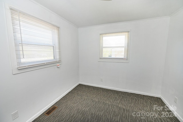 carpeted spare room with crown molding and a wealth of natural light