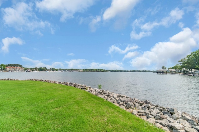 18212 Pompano Pl, Cornelius, NC 28031 - water view