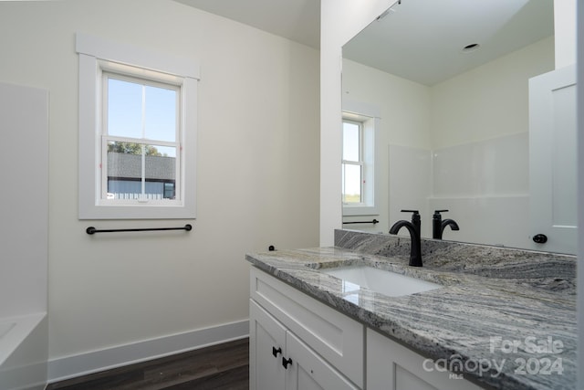 bathroom featuring vanity, wood-type flooring, and plenty of natural light