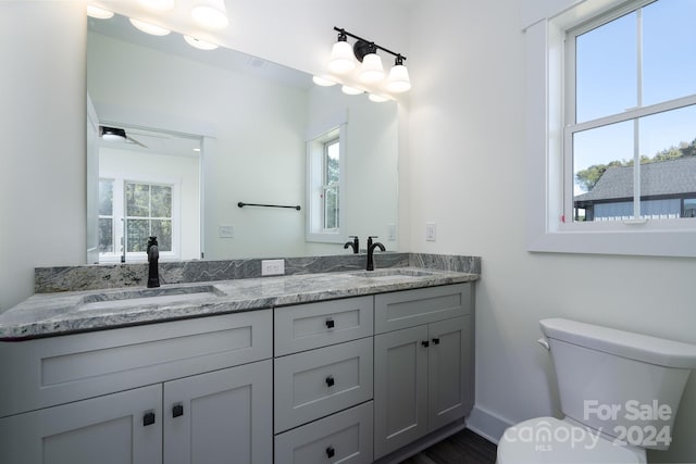 bathroom with toilet, vanity, and plenty of natural light