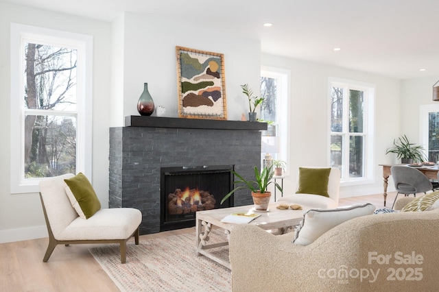 living room featuring light hardwood / wood-style floors