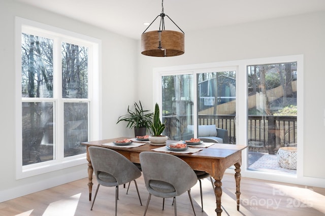 dining space with light hardwood / wood-style flooring and a healthy amount of sunlight