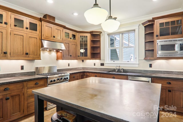 kitchen featuring extractor fan, appliances with stainless steel finishes, ornamental molding, pendant lighting, and sink