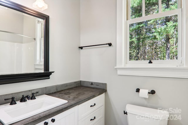 bathroom with toilet, vanity, and a shower