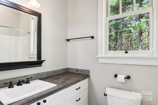 395 Daylily Dr, Hendersonville, NC 28739 - photo 29