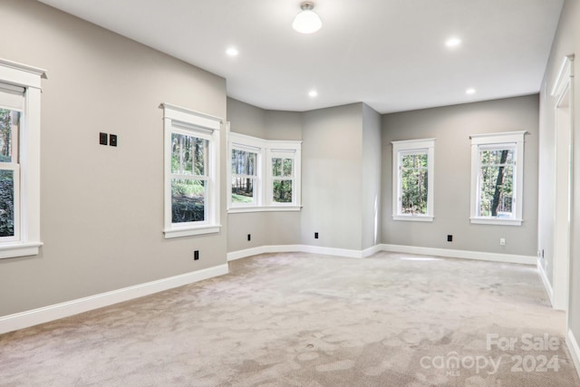 395 Daylily Dr, Hendersonville, NC 28739 - photo 37