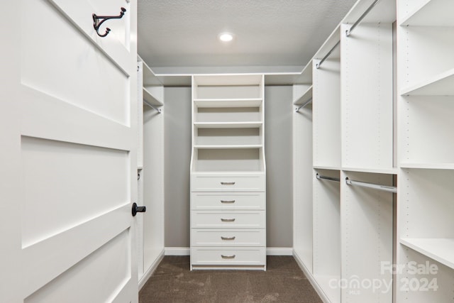 walk in closet featuring dark carpet