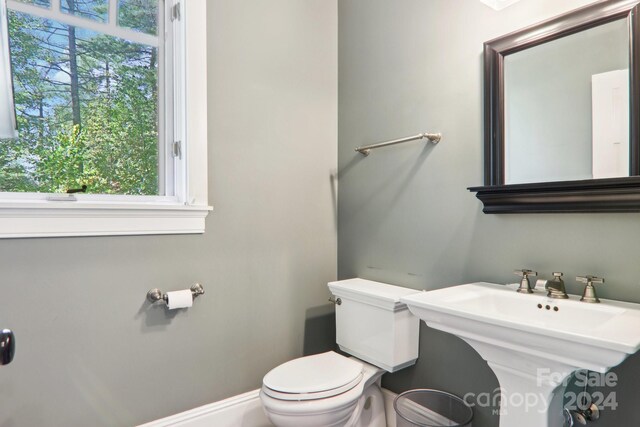 395 Daylily Dr, Hendersonville, NC 28739 - photo 48
