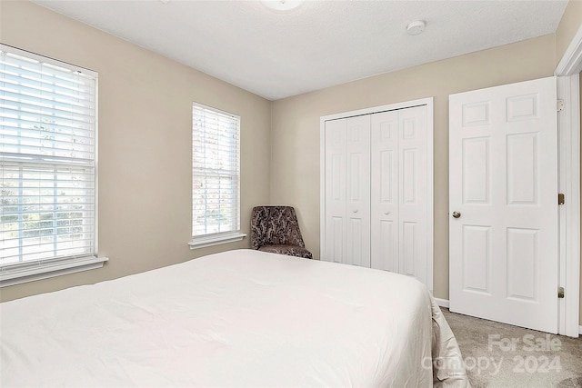 carpeted bedroom with a closet and a textured ceiling