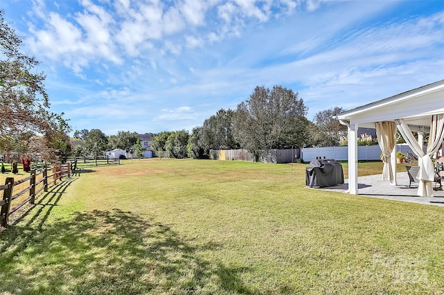 view of yard featuring a patio