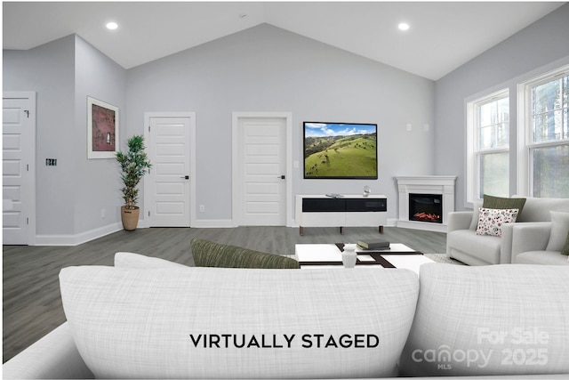 living room featuring hardwood / wood-style flooring and lofted ceiling