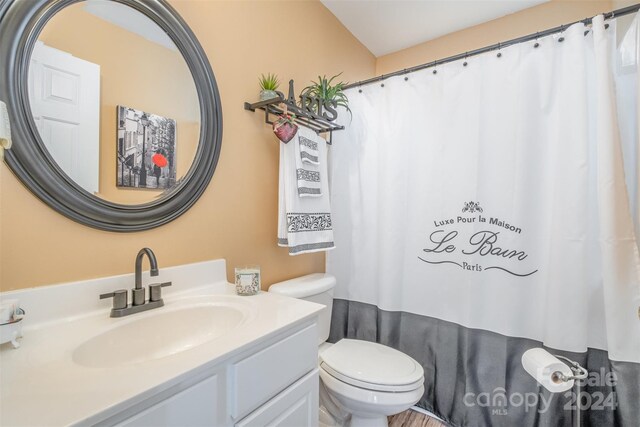 full bath with toilet, a shower with curtain, and vanity