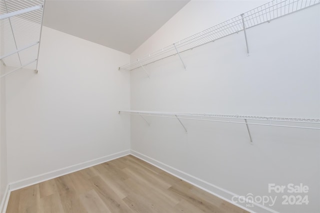 walk in closet with hardwood / wood-style floors