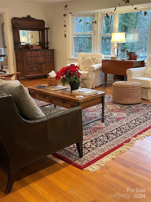 living room with a healthy amount of sunlight and hardwood / wood-style flooring