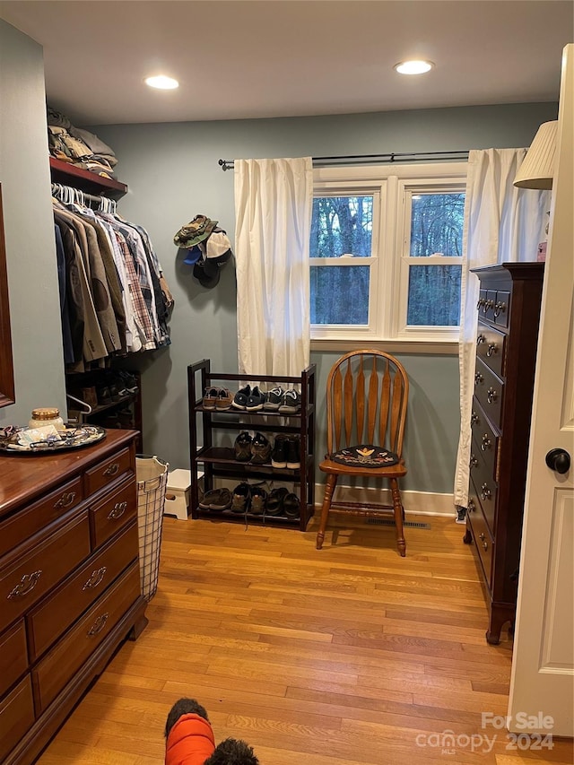 spacious closet with light hardwood / wood-style floors