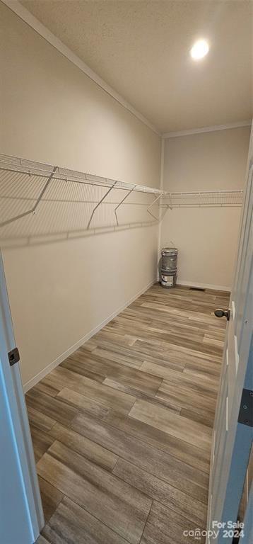 walk in closet with hardwood / wood-style flooring