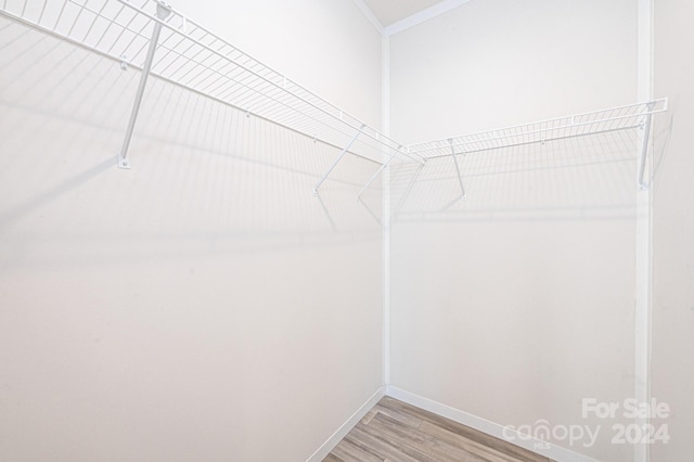 spacious closet featuring hardwood / wood-style flooring