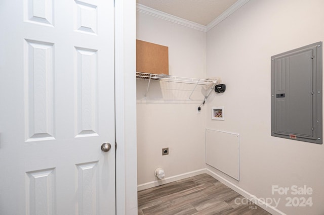 clothes washing area featuring electric dryer hookup, wood-type flooring, crown molding, and electric panel