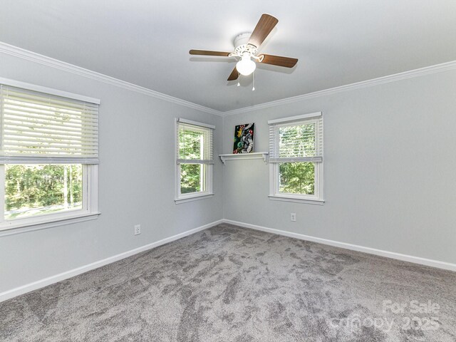 empty room with ceiling fan, crown molding, and carpet floors