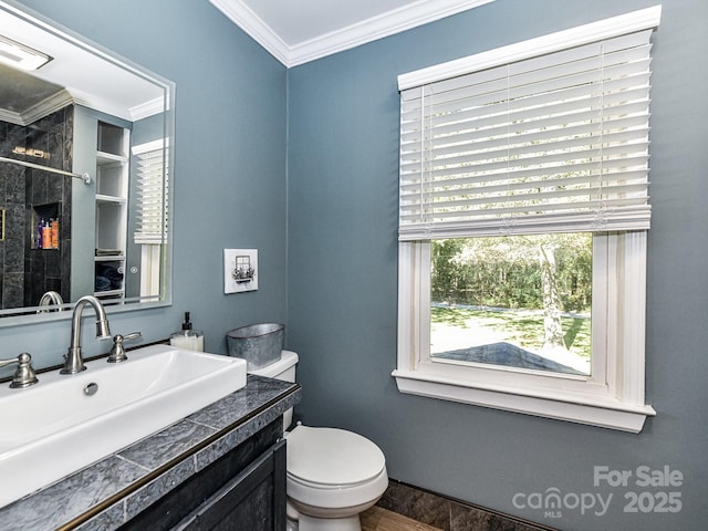 bathroom with toilet, crown molding, and vanity