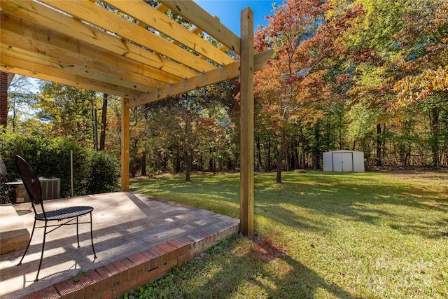 view of yard with a patio area and a storage shed