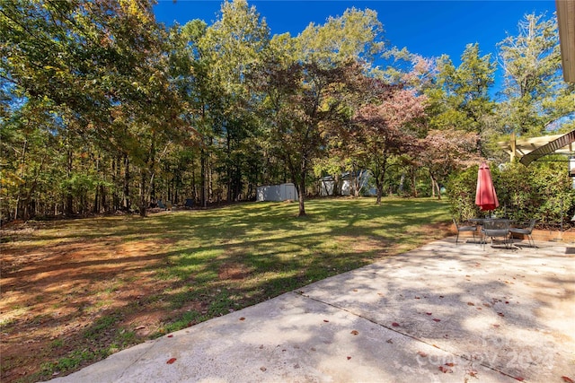 view of yard with a patio and a storage shed