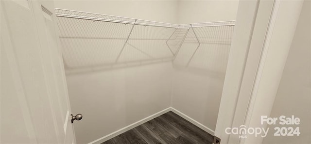 spacious closet featuring dark wood-type flooring