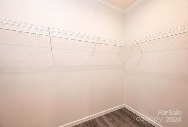 walk in closet featuring wood-type flooring