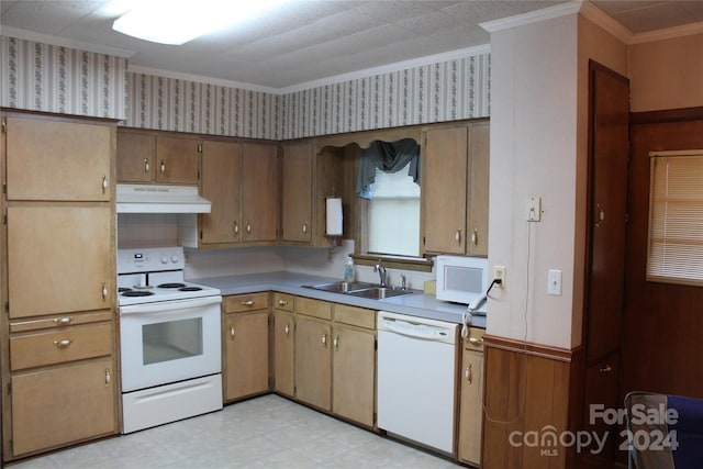 kitchen with ornamental molding, sink, and white appliances