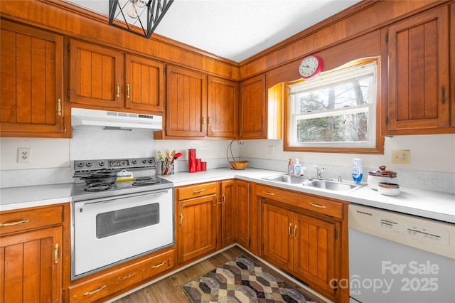 kitchen featuring dark hardwood / wood-style floors, sink, and white appliances