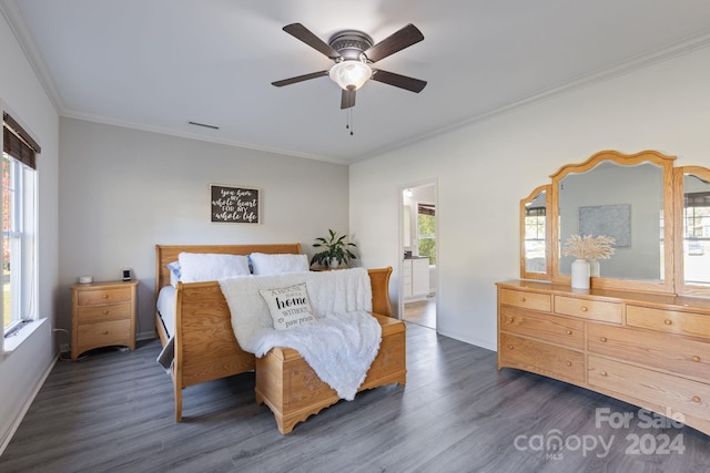 bedroom with multiple windows, ceiling fan, dark hardwood / wood-style floors, and ornamental molding