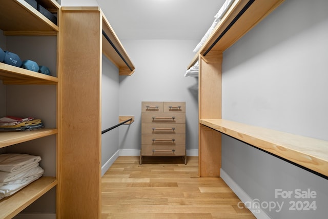 spacious closet featuring light wood-type flooring