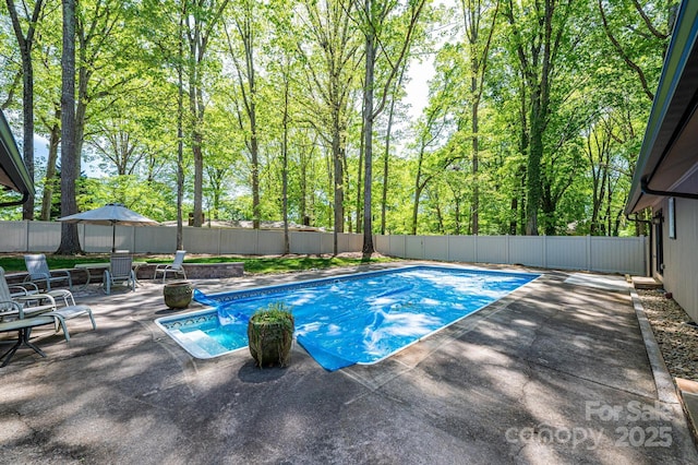 view of pool with a patio