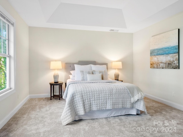 bedroom featuring multiple windows, light colored carpet, and a raised ceiling