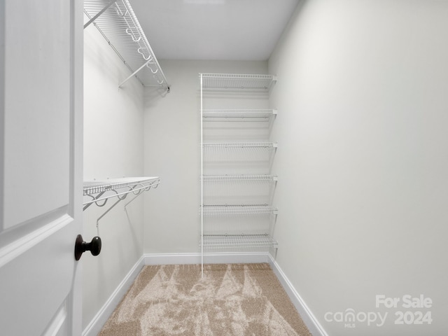 walk in closet featuring light colored carpet