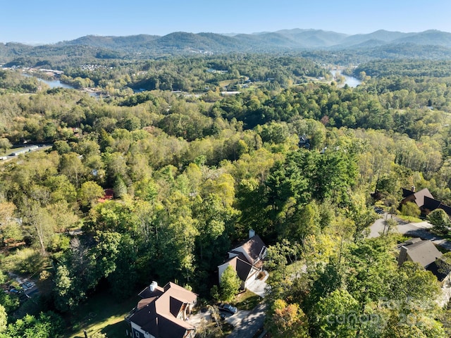 birds eye view of property featuring a mountain view