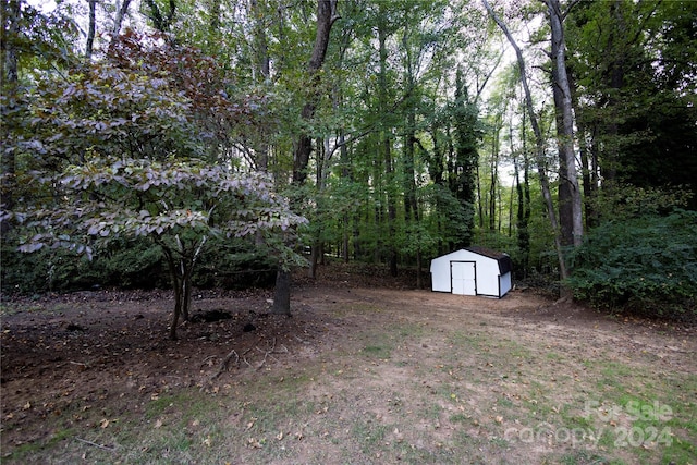 view of yard with a storage unit