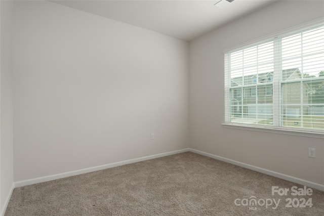 spare room featuring carpet floors