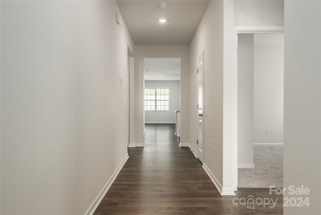 hall with dark wood-type flooring