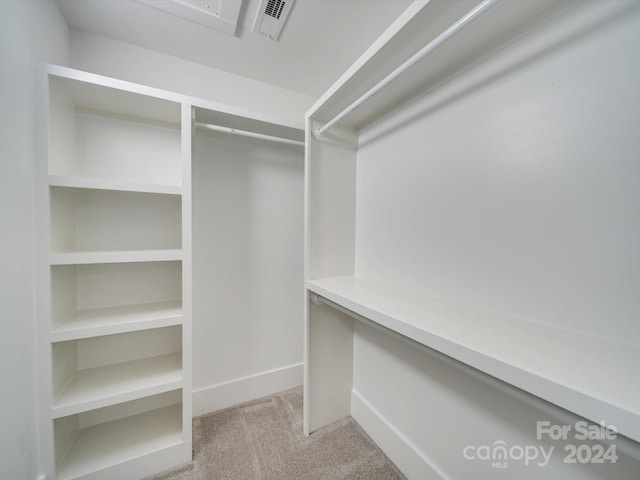 spacious closet featuring light colored carpet