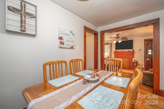 dining room with hardwood / wood-style floors, crown molding, and ceiling fan