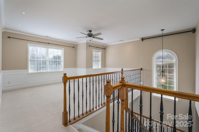 corridor with crown molding and carpet flooring